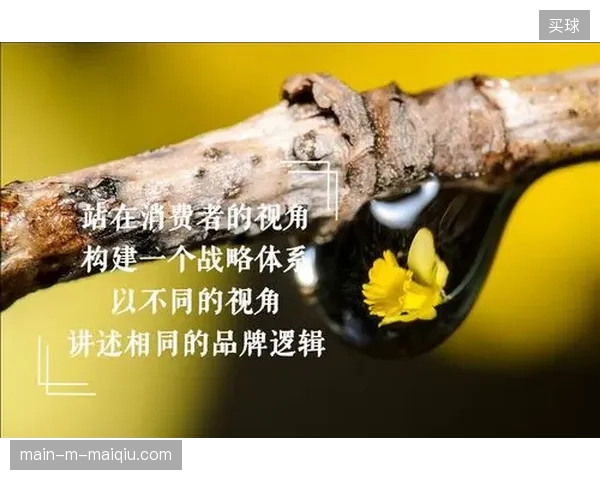 国际体育赛事运营逻辑，正在经历从单一场馆管理向跨城全域流动的系统变革